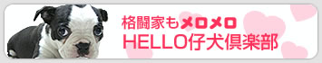 Hello 仔犬倶楽部